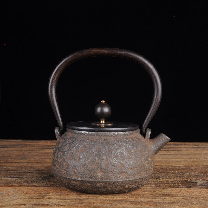 Cast iron teapot "Daimyo" (5 models)