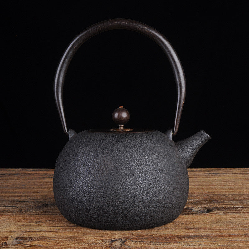 Cast iron teapot "Daimyo" (5 models)