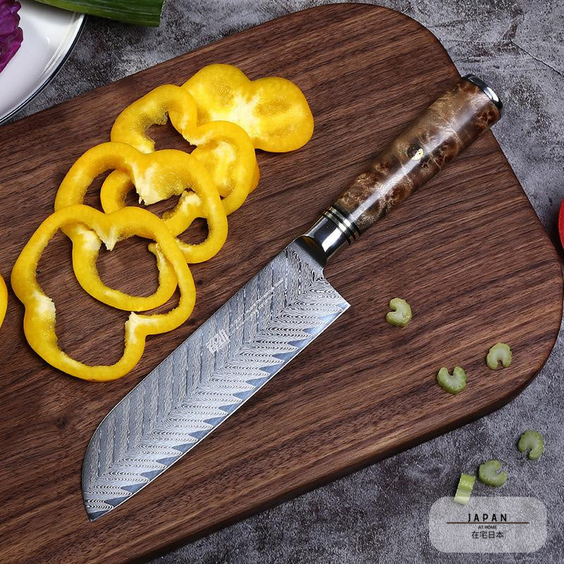 Steel Sushi Knife