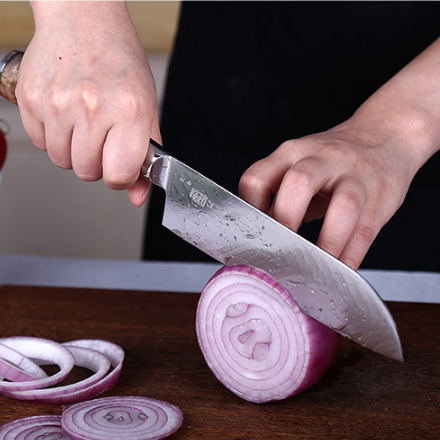 Steel Sushi Knife