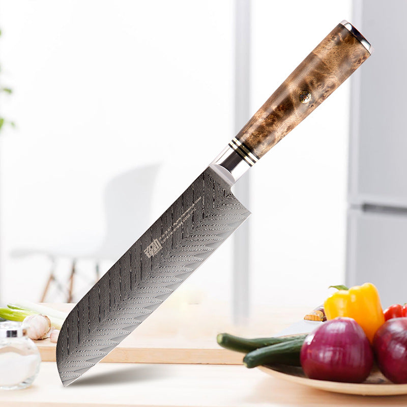 Steel Sushi Knife